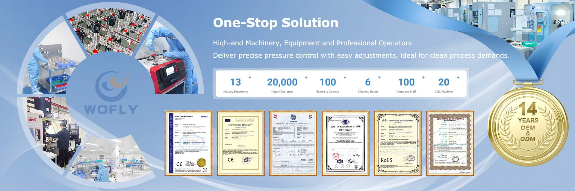 QUALITÉ Régulateur de pression d'acier inoxydable usine