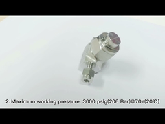 Stainless Steel Air Compressor Strainer , 1/4