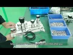 PCTFE 2200psi Stainless Steel Pressure Regulator Diaphragm Valves AFK WL100