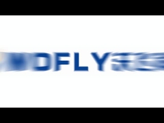 Régulateur de pression de gaz en acier inoxydable 316L certifié ISO9001 et CE