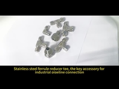 Résistants à la ferrule de connexion de tubes en acier inoxydable avec certification ISO9001 CE